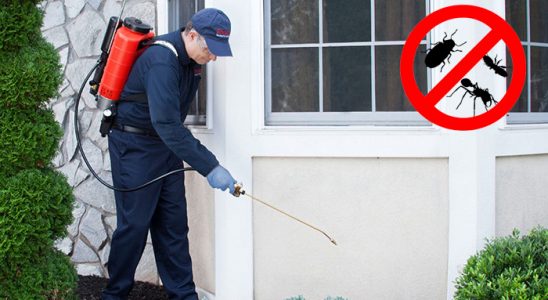 Villakent Uçan Haşere İlaçlama böcek ilaçlama ve haşere kontrolü — ilaclama-tr.com